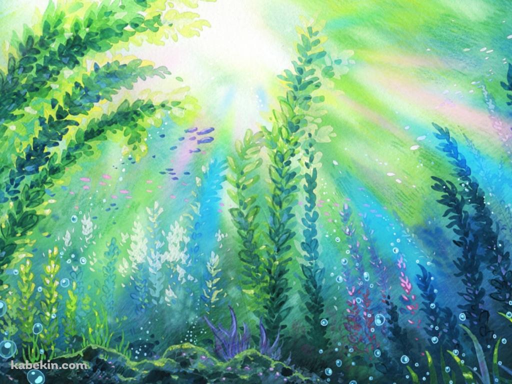 濃淡のある水草と水泡 / Aquatic plants and water bubbles with different shadesの壁紙(1024px x 768px) 高画質 PC・デスクトップ用