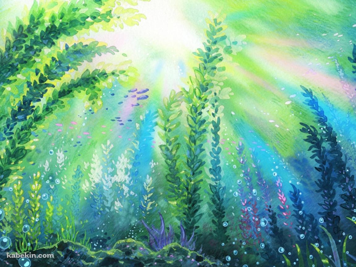 濃淡のある水草と水泡 / Aquatic plants and water bubbles with different shadesの壁紙(1152px x 864px) 高画質 PC・デスクトップ用