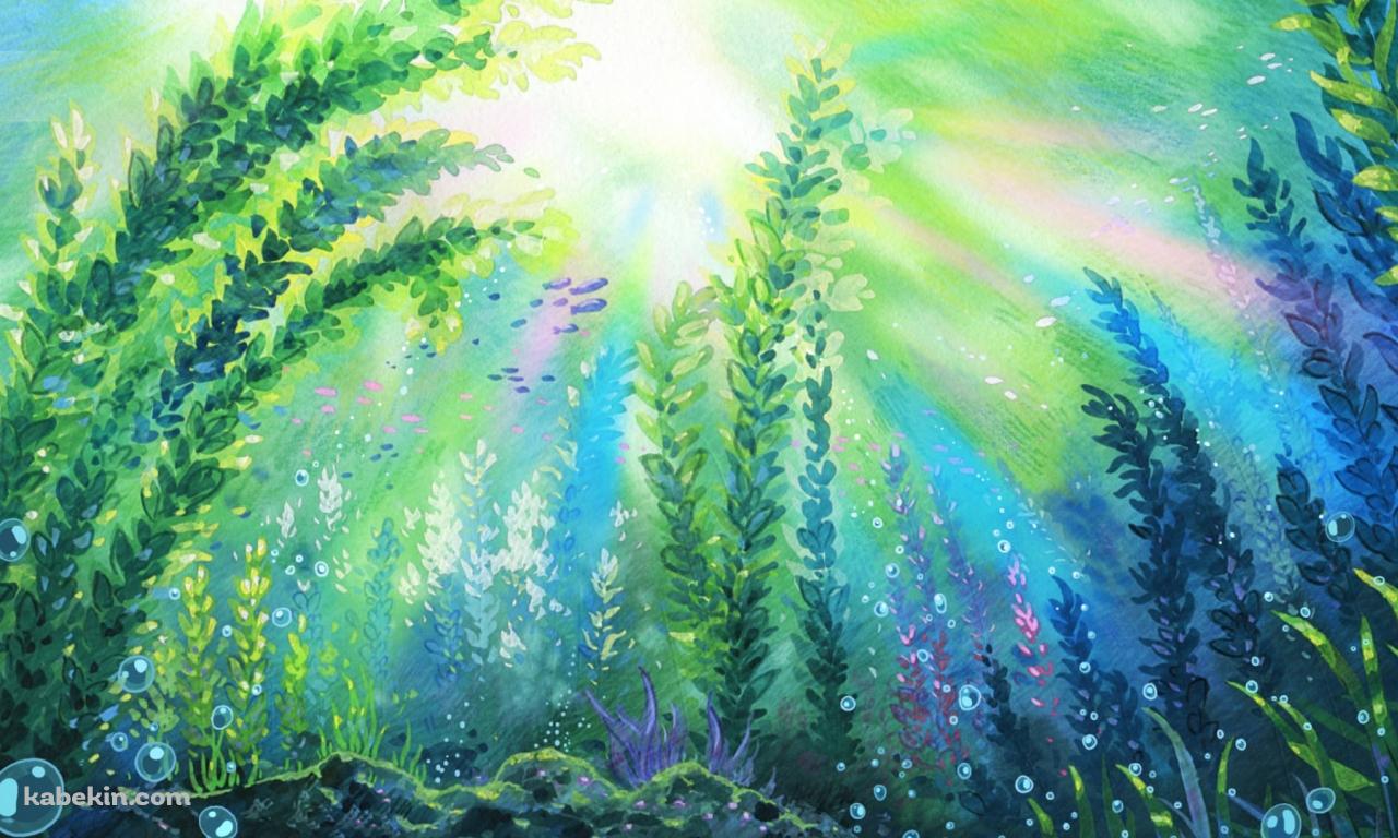 濃淡のある水草と水泡 / Aquatic plants and water bubbles with different shadesの壁紙(1280px x 768px) 高画質 PC・デスクトップ用
