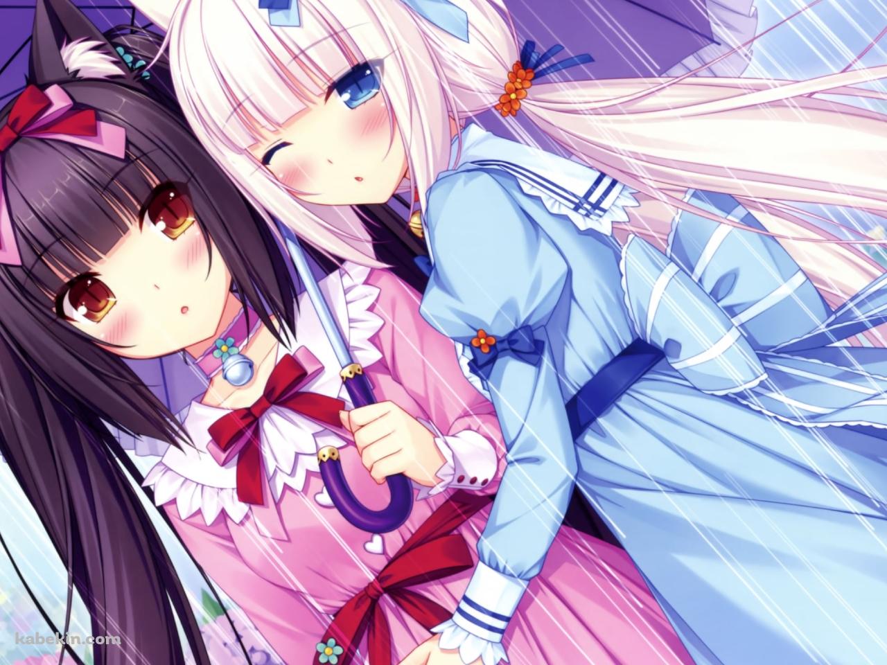 相合傘で身を寄せ合うバニラとショコラ / 紫陽花 / ネコぱらの壁紙(1280px x 960px) 高画質 PC・デスクトップ用
