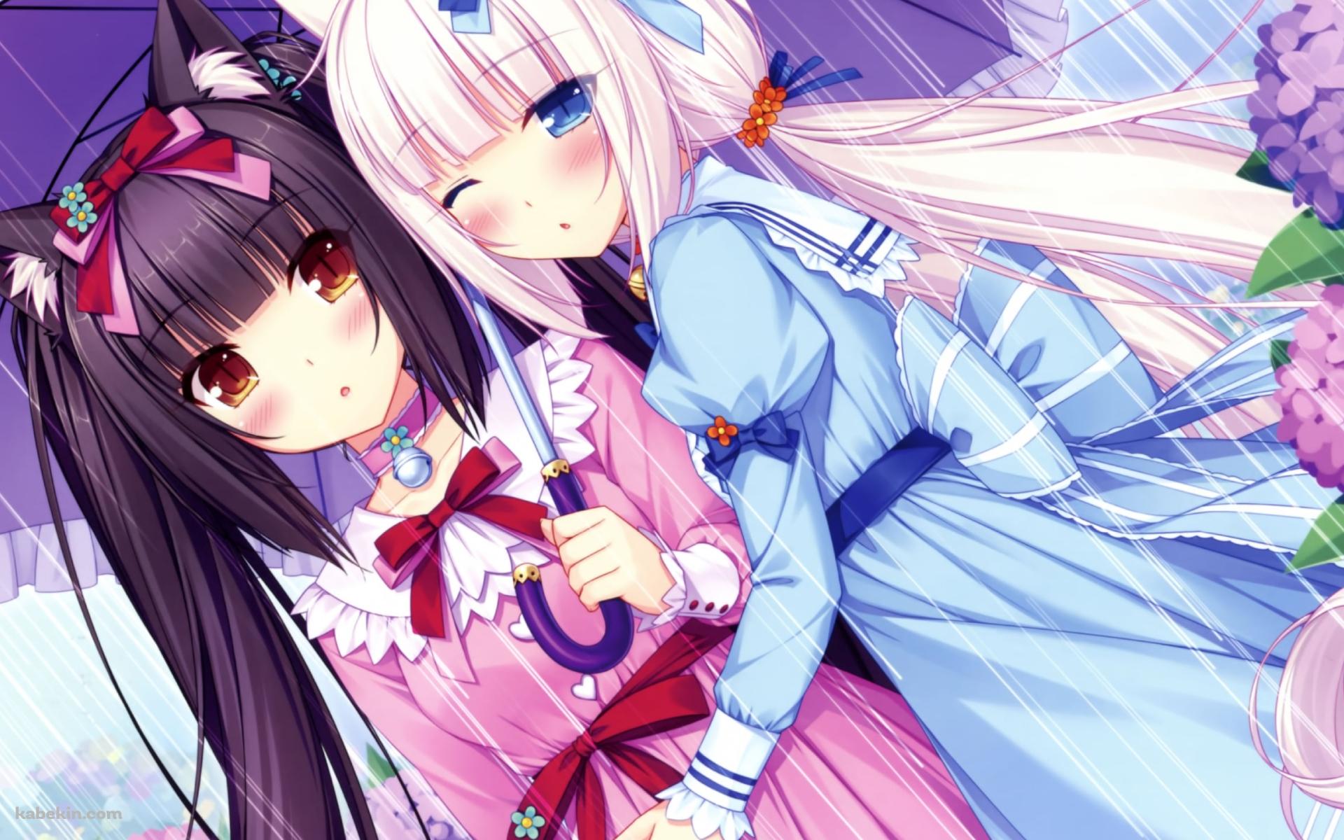 相合傘で身を寄せ合うバニラとショコラ / 紫陽花 / ネコぱらの壁紙(1920px x 1200px) 高画質 PC・デスクトップ用