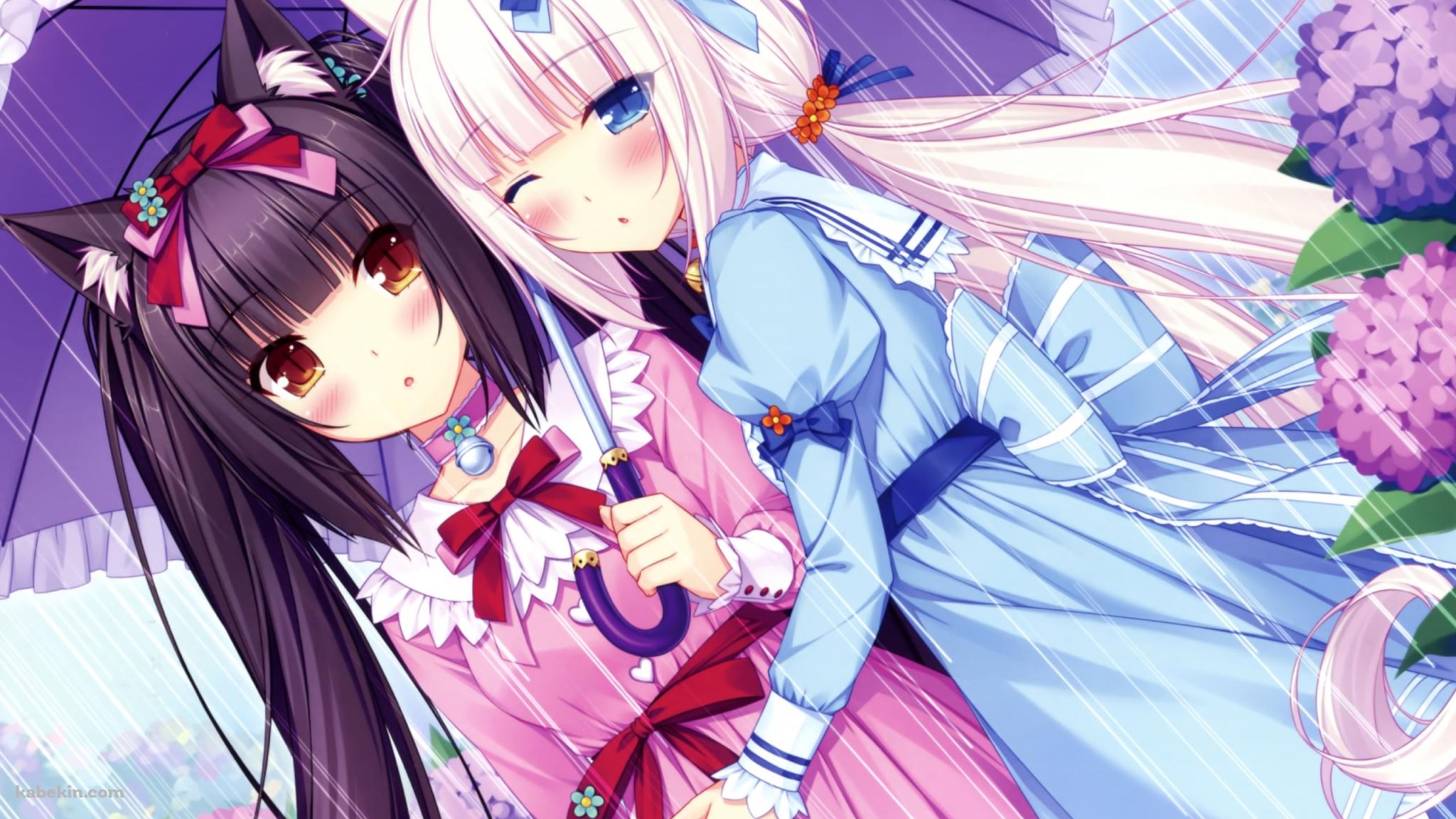 相合傘で身を寄せ合うバニラとショコラ / 紫陽花 / ネコぱらの壁紙(2048px x 1152px) 高画質 PC・デスクトップ用