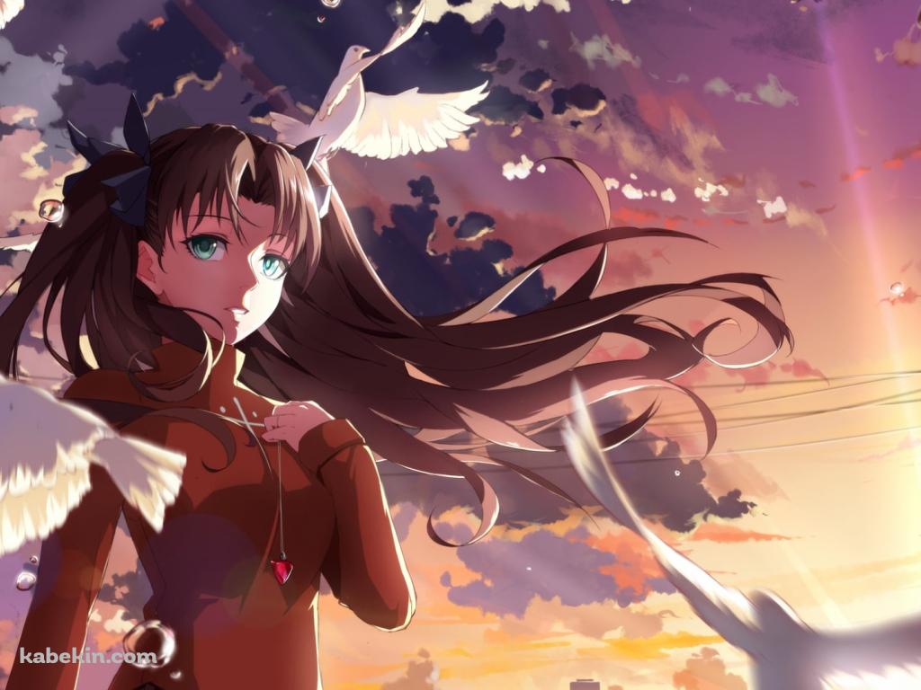 白い鳩の群れと胸元に手をあてる遠坂凛 / 電柱 / Fateの壁紙(1024px x 768px) 高画質 PC・デスクトップ用