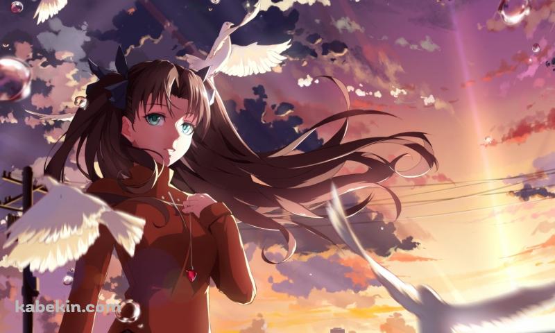 白い鳩の群れと胸元に手をあてる遠坂凛 / 電柱 / Fateの壁紙(800px x 480px) 高画質 PC・デスクトップ用