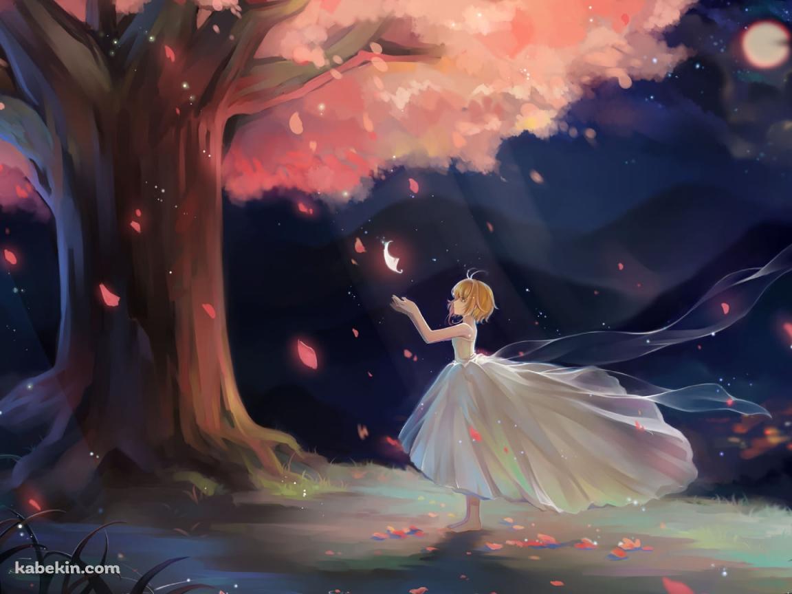 舞い散る桜の花びらに手をかざすサクラ姫 / 満月 / ツバサ・クロニクルの壁紙(1152px x 864px) 高画質 PC・デスクトップ用