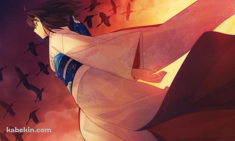 鶴の群れを見上げる両儀式 / 空の境界の壁紙(800px x 480px) 高画質 PC・デスクトップ用
