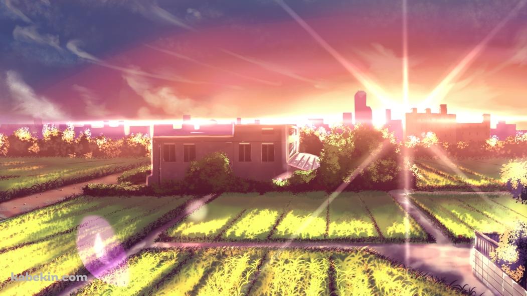 逆光と緑多い田園風景の壁紙(1051px x 591px) 高画質 PC・デスクトップ用