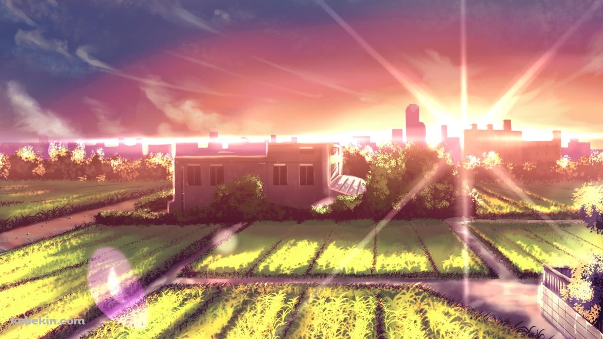 逆光と緑多い田園風景の壁紙(1242px x 698px) 高画質 PC・デスクトップ用
