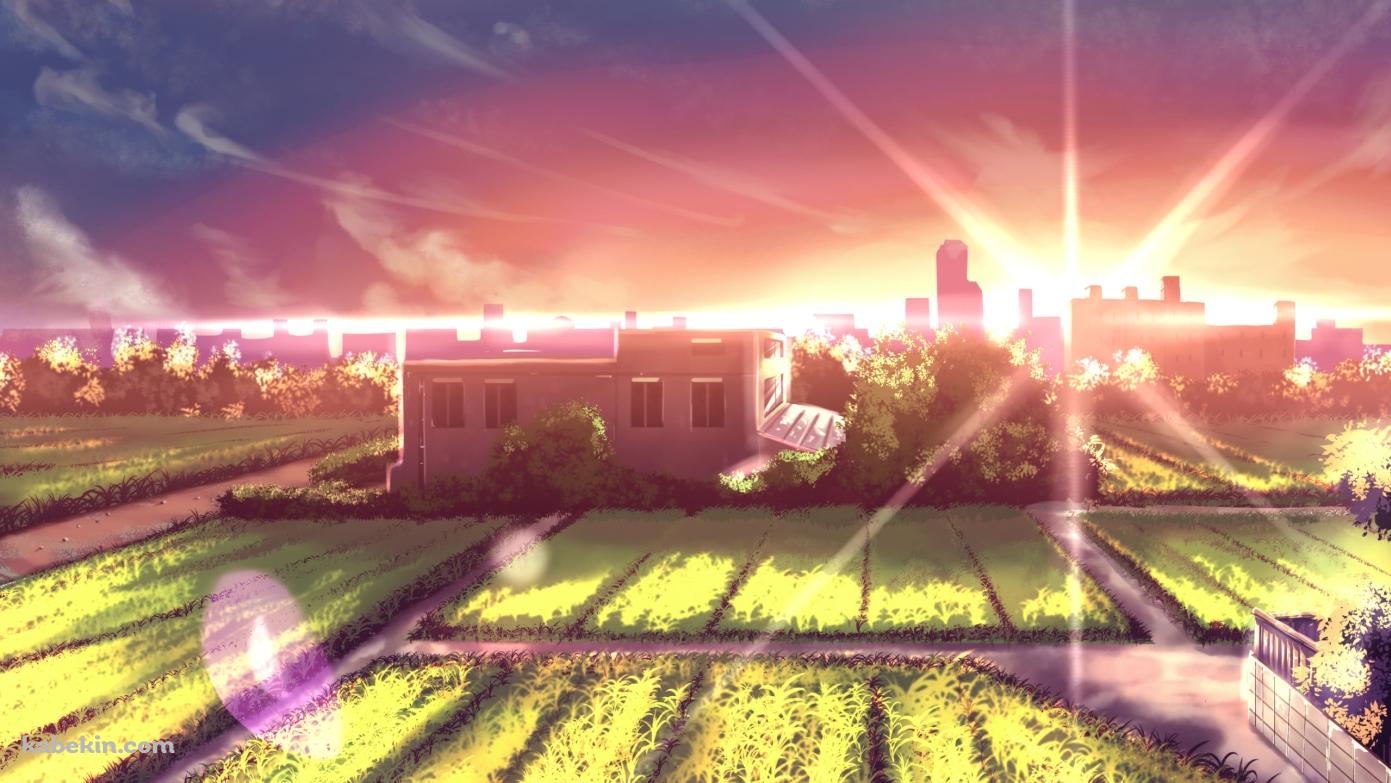 逆光と緑多い田園風景の壁紙(1391px x 783px) 高画質 PC・デスクトップ用