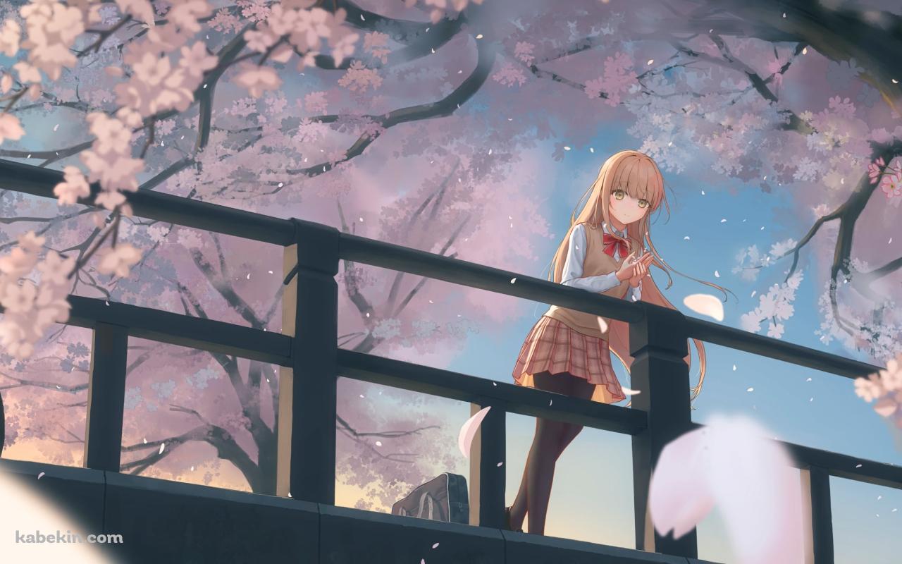 橋の上で桜の花びらを掌に載せて佇む椎名真昼 / お隣の天使様にいつの間にか駄目人間にされていた件の壁紙(1280px x 800px) 高画質 PC・デスクトップ用