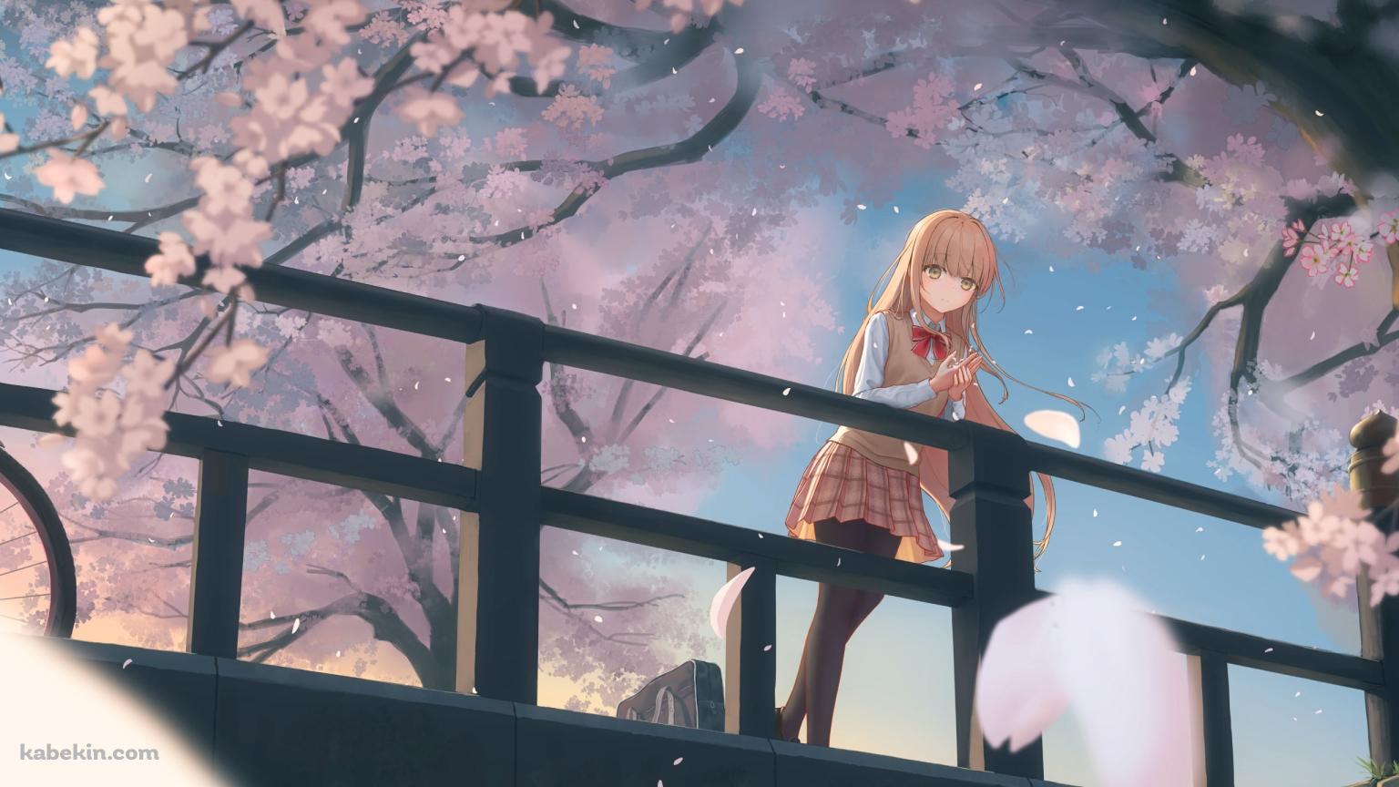 橋の上で桜の花びらを掌に載せて佇む椎名真昼 / お隣の天使様にいつの間にか駄目人間にされていた件の壁紙(1536px x 864px) 高画質 PC・デスクトップ用