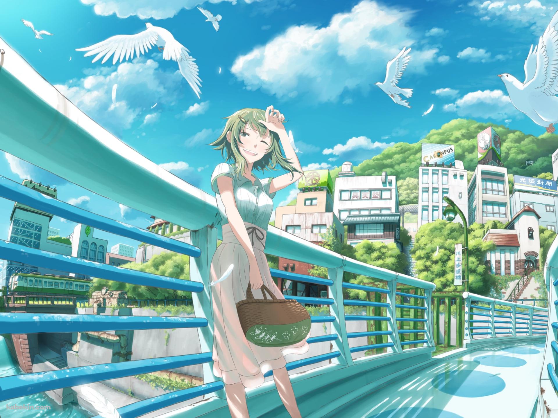 白い橋の上で待ち合わせするGUMI / 空飛ぶ白い鳩 / 晴天 / ボカロの壁紙(1920px x 1440px) 高画質 PC・デスクトップ用