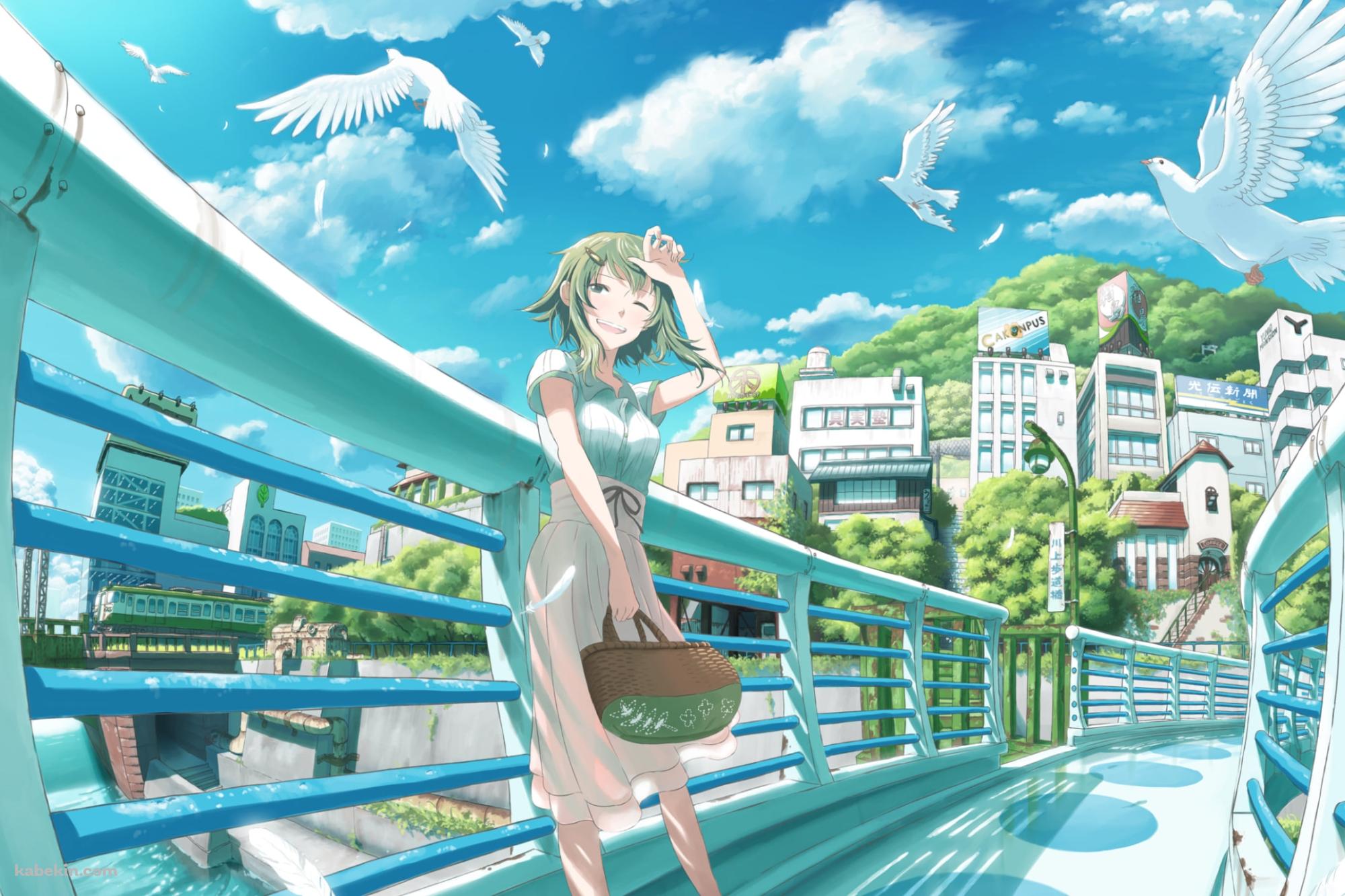 白い橋の上で待ち合わせするGUMI / 空飛ぶ白い鳩 / 晴天 / ボカロの壁紙(2000px x 1333px) 高画質 PC・デスクトップ用