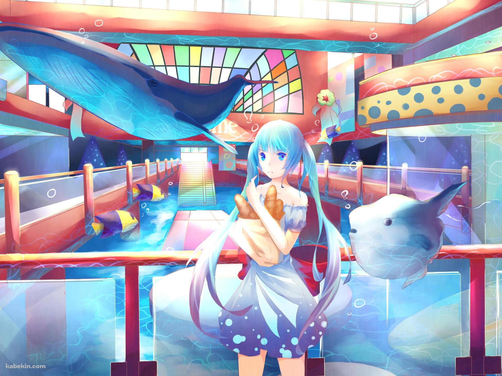 マンボウと鯨と初音ミク / ボカロの壁紙(1920px x 1440px) 高画質 PC・デスクトップ用