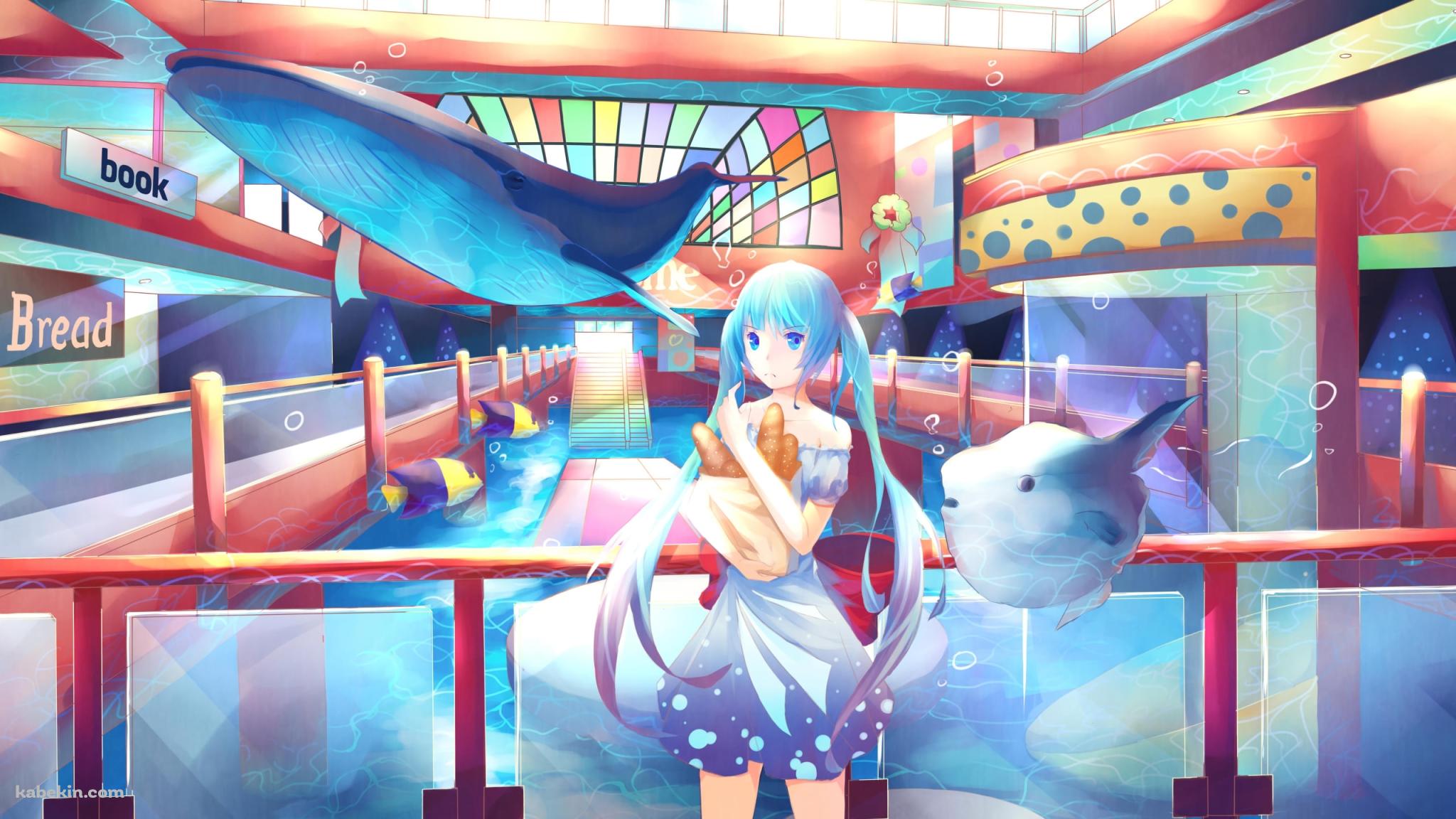 マンボウと鯨と初音ミク / ボカロの壁紙(2048px x 1152px) 高画質 PC・デスクトップ用