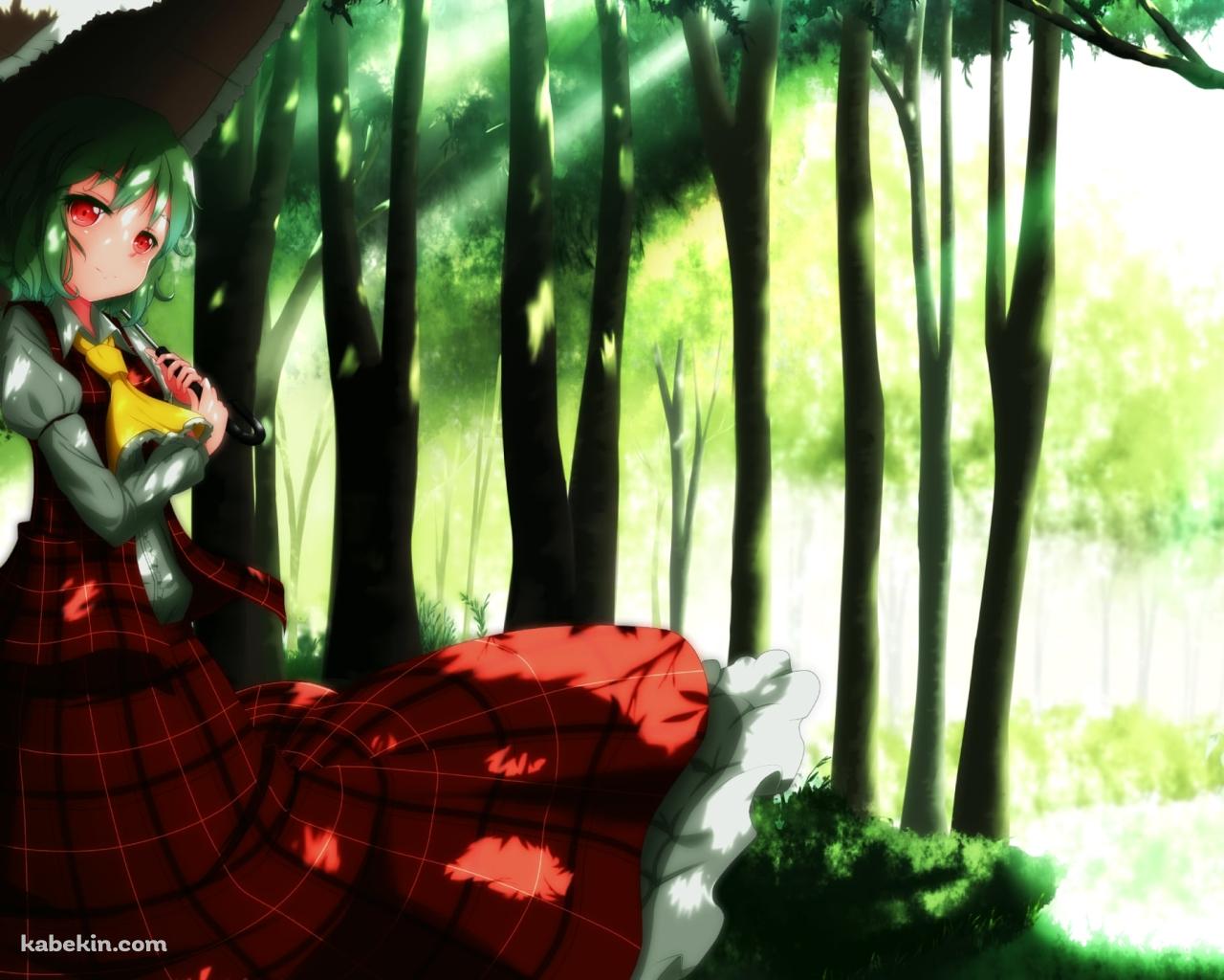 森の中で日傘をさす赤いチェックの服を着た風見幽香 / 東方の壁紙(1280px x 1024px) 高画質 PC・デスクトップ用