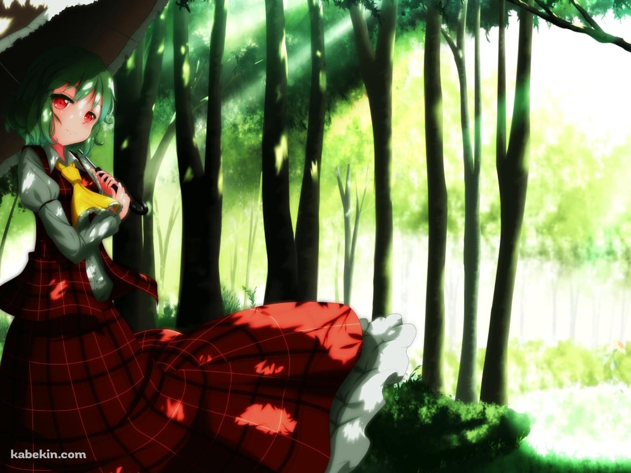 森の中で日傘をさす赤いチェックの服を着た風見幽香 / 東方の壁紙(1280px x 960px) 高画質 PC・デスクトップ用
