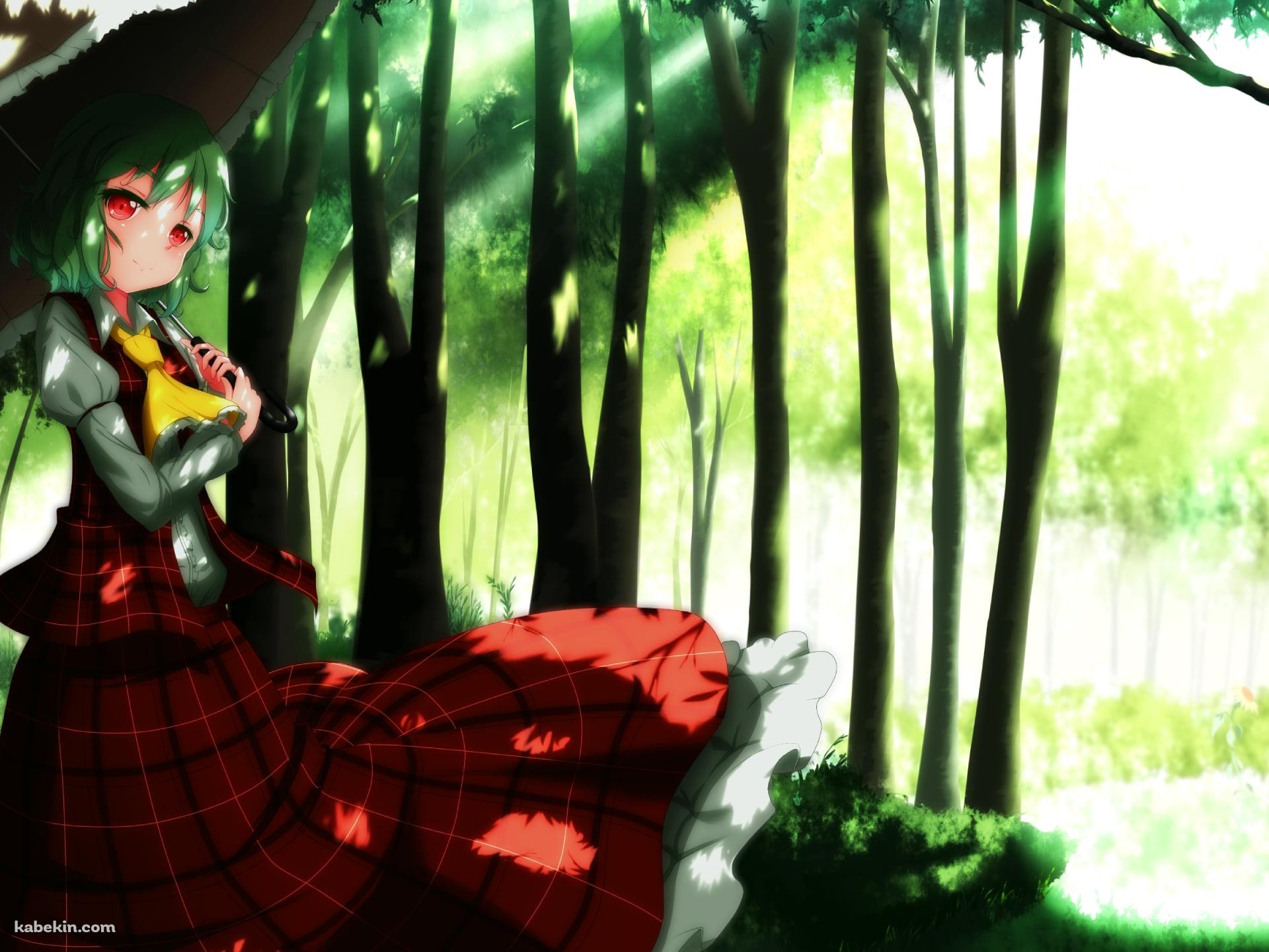 森の中で日傘をさす赤いチェックの服を着た風見幽香 / 東方の壁紙(1920px x 1440px) 高画質 PC・デスクトップ用