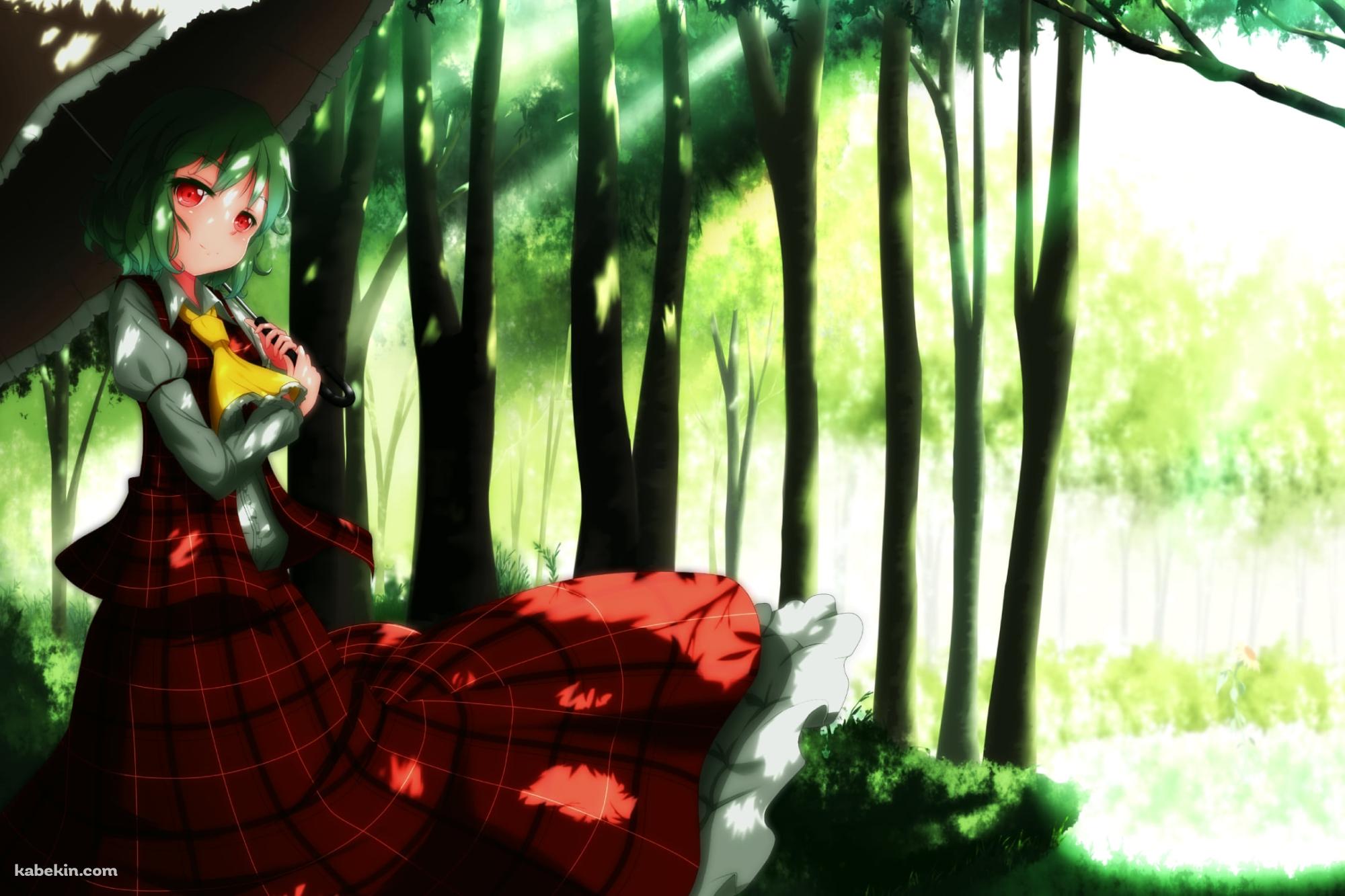 森の中で日傘をさす赤いチェックの服を着た風見幽香 / 東方の壁紙(2000px x 1333px) 高画質 PC・デスクトップ用