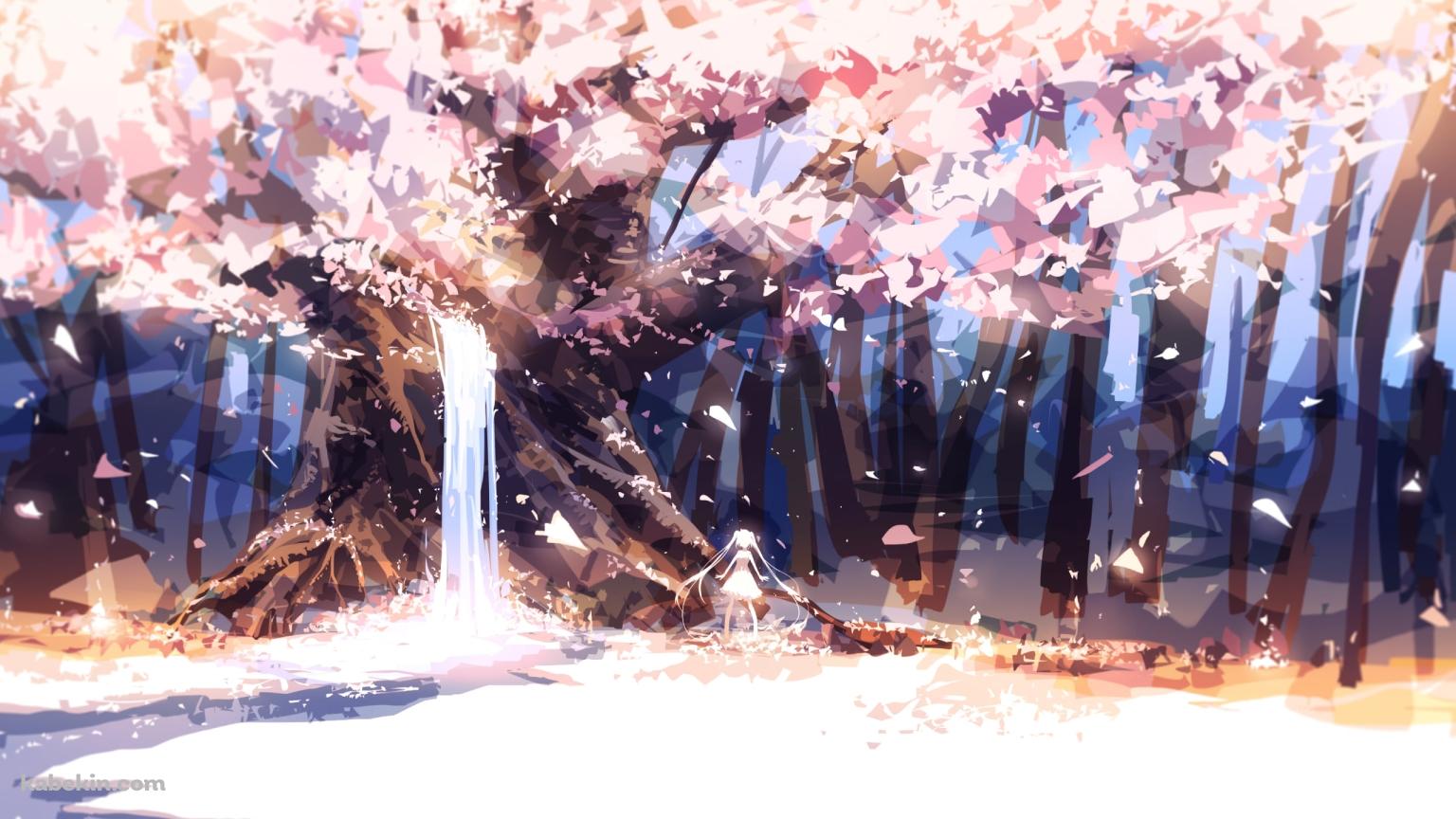 水が流れる桜の木を眺める初音ミク / ボカロの壁紙(1536px x 864px) 高画質 PC・デスクトップ用