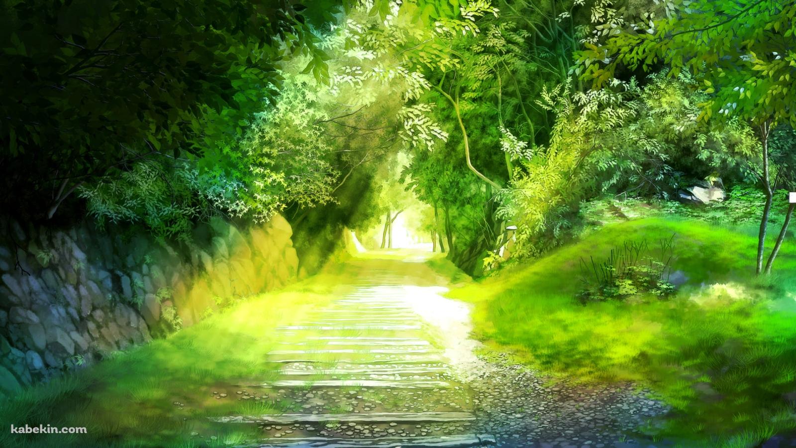 緑の木々に囲まれた幻想的な砂利道の壁紙(1600px x 900px) 高画質 PC・デスクトップ用