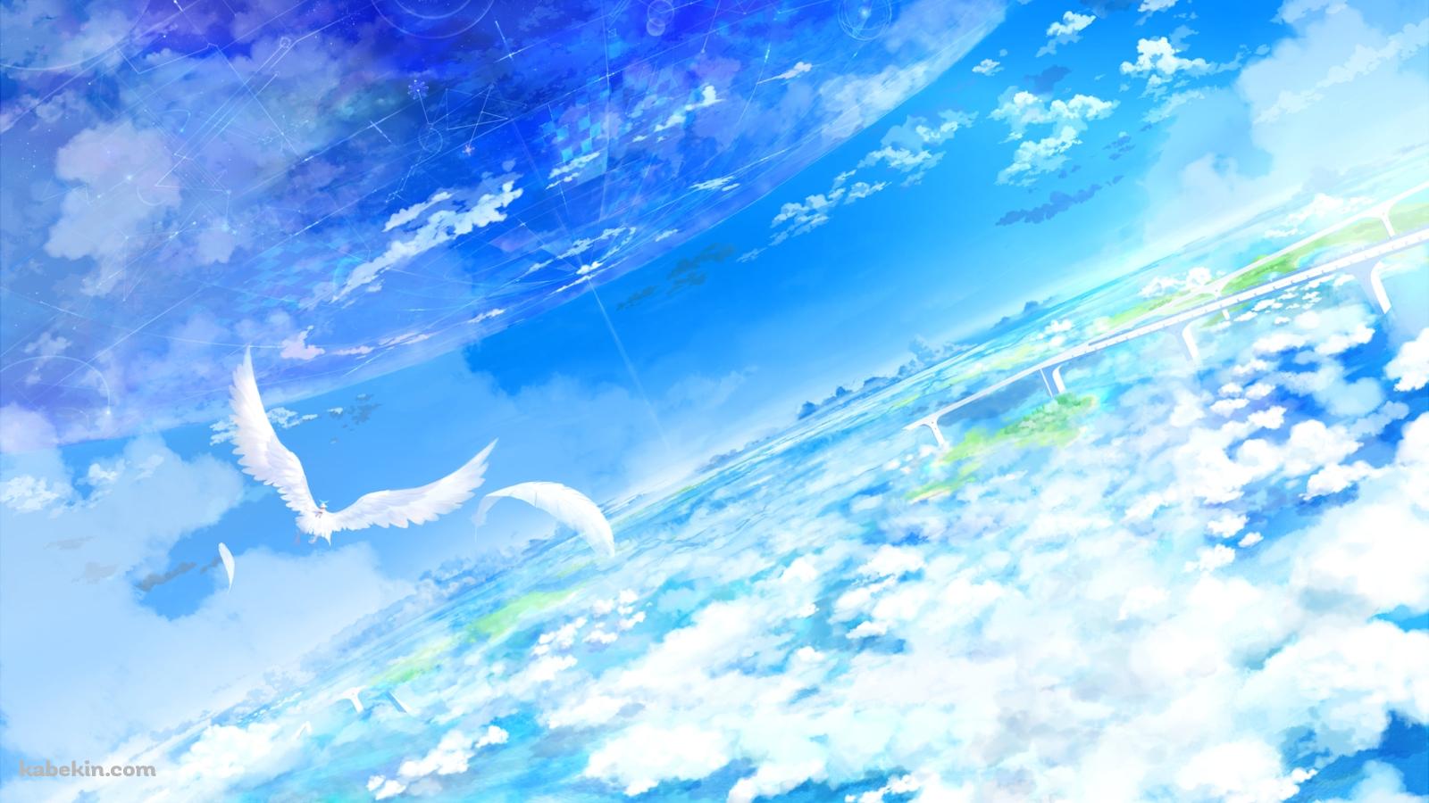 綺麗な青い空の上を飛ぶ白い鳥の壁紙(1600px x 900px) 高画質 PC・デスクトップ用