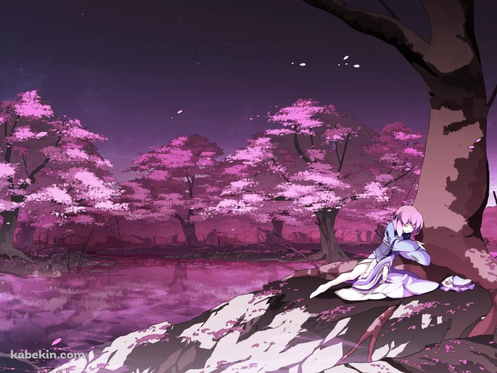 桜の木の下で寝る西行寺幽々子 / 東方の壁紙(1024px x 768px) 高画質 PC・デスクトップ用