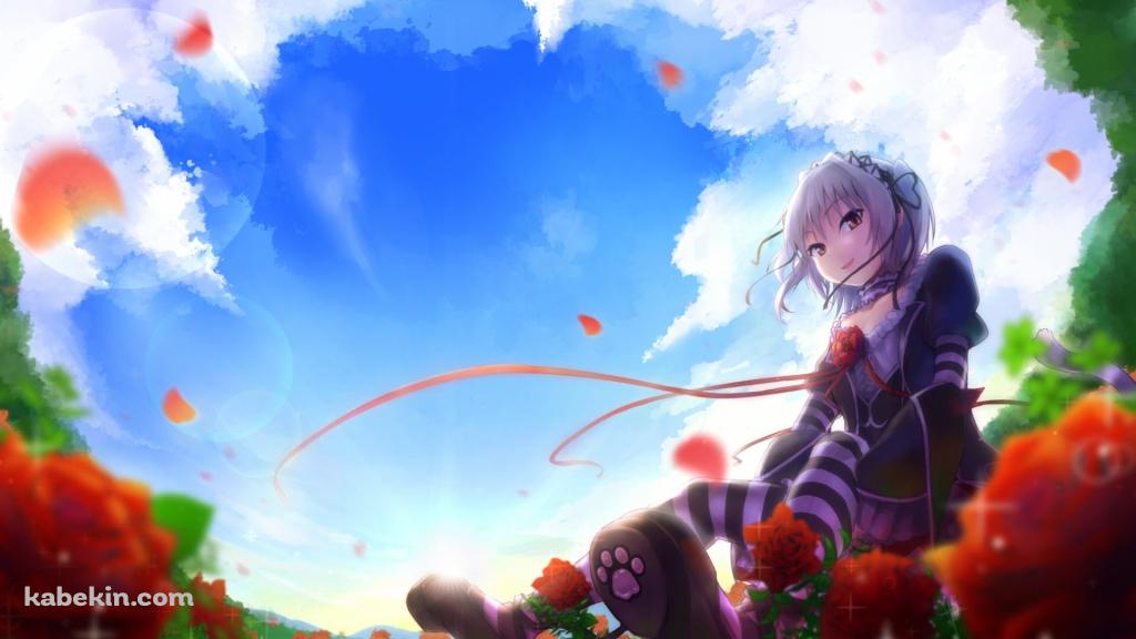 赤い薔薇と内藤 舞亜 (ないとう まいあ) / ハピメアの壁紙(1024px x 576px) 高画質 PC・デスクトップ用