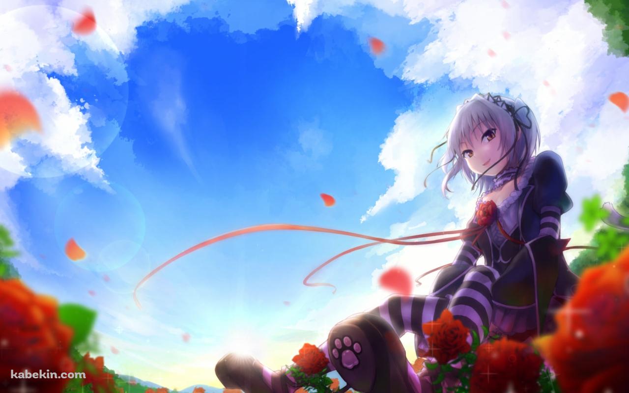 赤い薔薇と内藤 舞亜 (ないとう まいあ) / ハピメアの壁紙(1280px x 800px) 高画質 PC・デスクトップ用