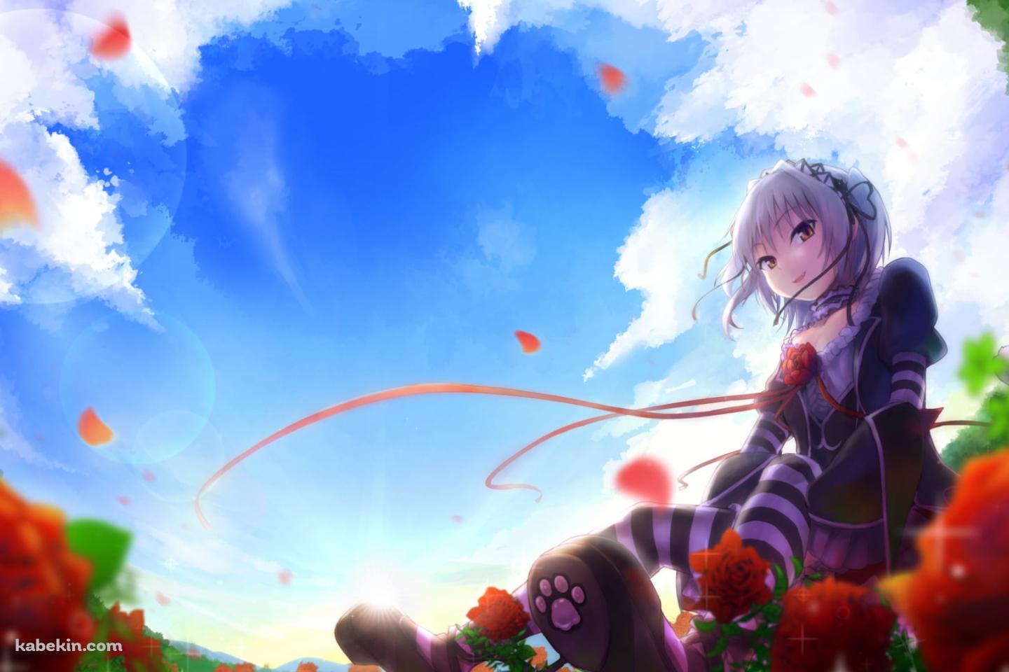 赤い薔薇と内藤 舞亜 (ないとう まいあ) / ハピメアの壁紙(1440px x 960px) 高画質 PC・デスクトップ用