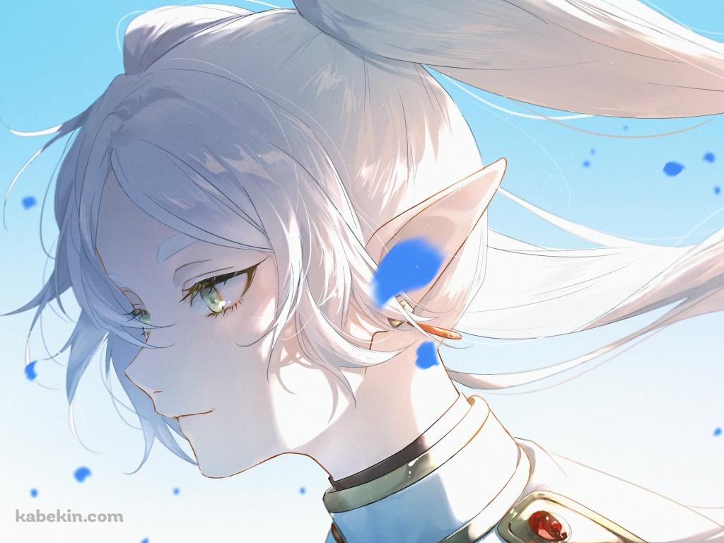 蒼月草の青い花びらと凛々しい表情のフリーレン / 葬送のフリーレンの壁紙(1024px x 768px) 高画質 PC・デスクトップ用