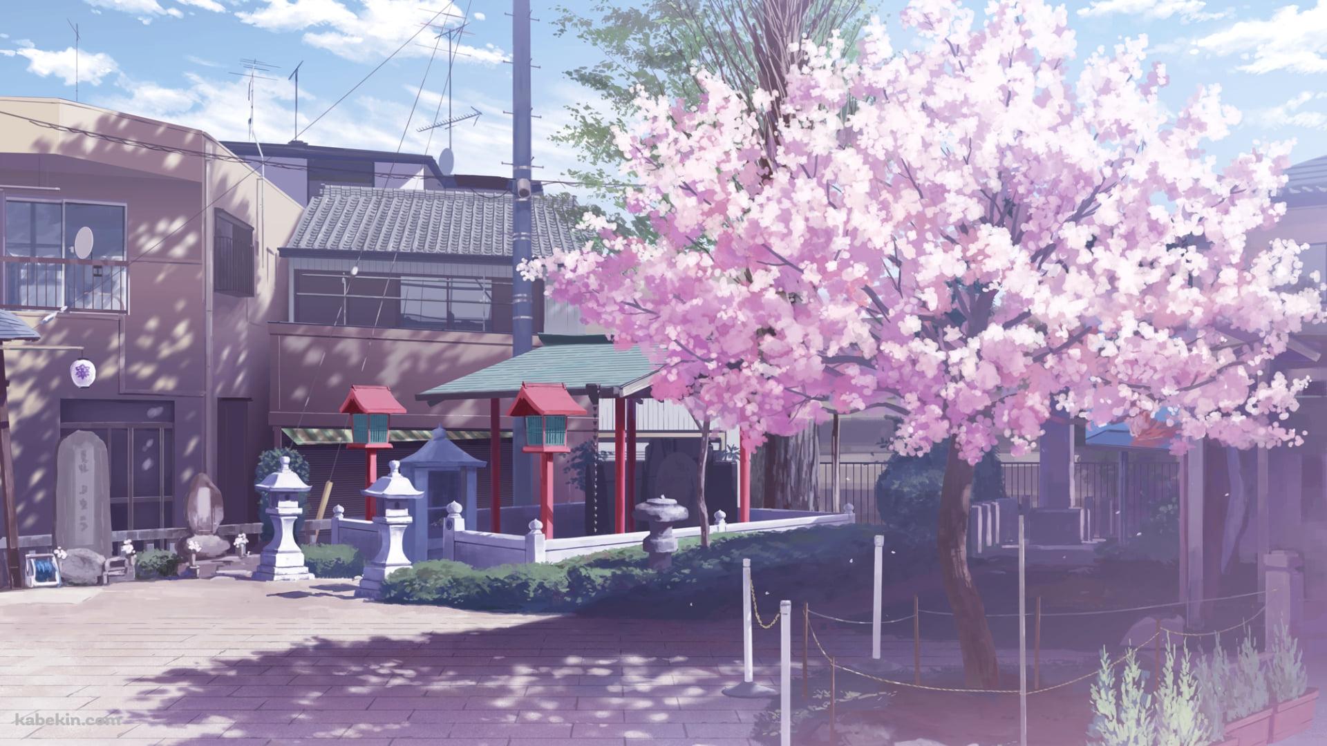 満開の桜が咲く街の一角の壁紙(1920px x 1080px) 高画質 PC・デスクトップ用