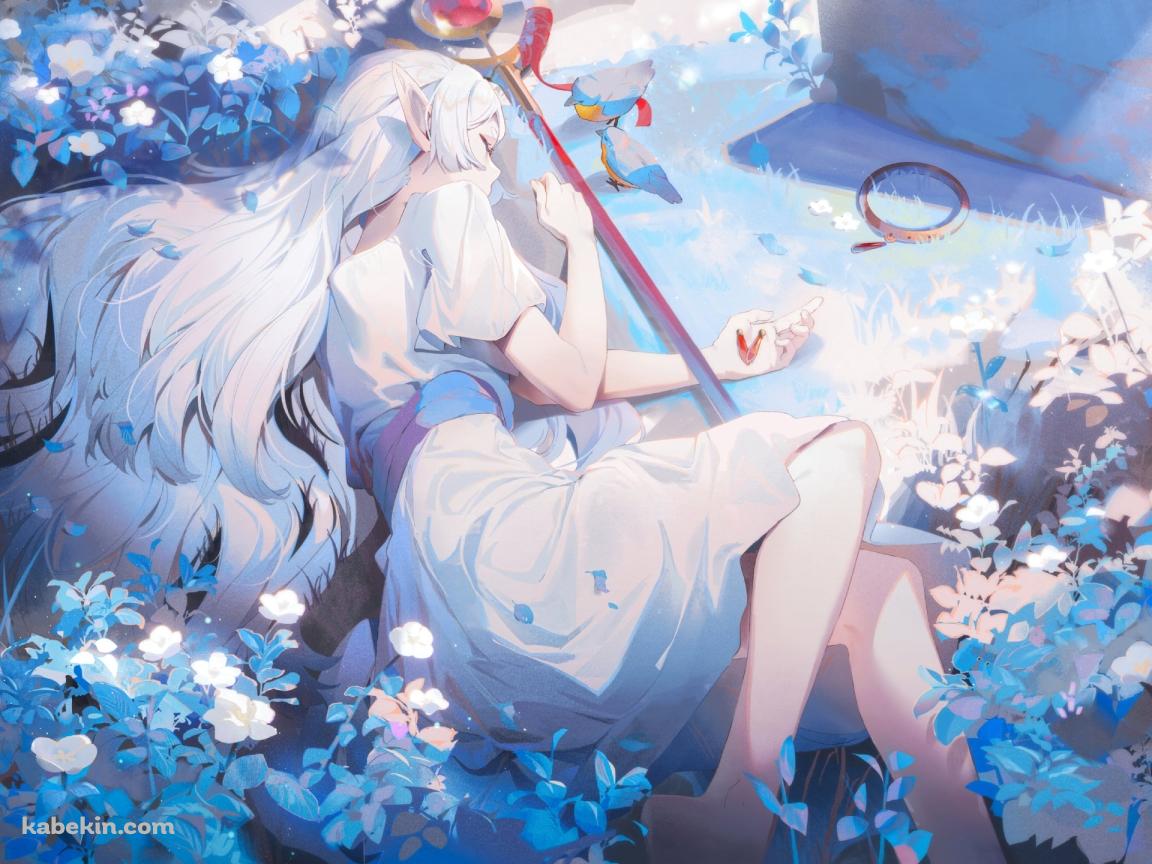 蒼月草に囲まれて寝るフリーレン / 綺麗 / 葬送のフリーレンの壁紙(1152px x 864px) 高画質 PC・デスクトップ用