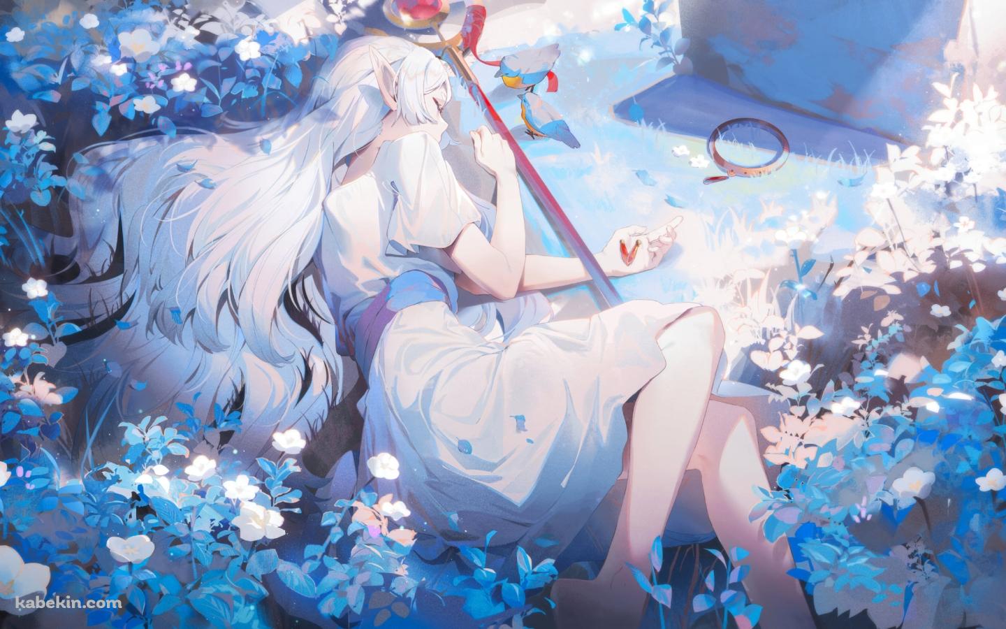 蒼月草に囲まれて寝るフリーレン / 綺麗 / 葬送のフリーレンの壁紙(1440px x 900px) 高画質 PC・デスクトップ用