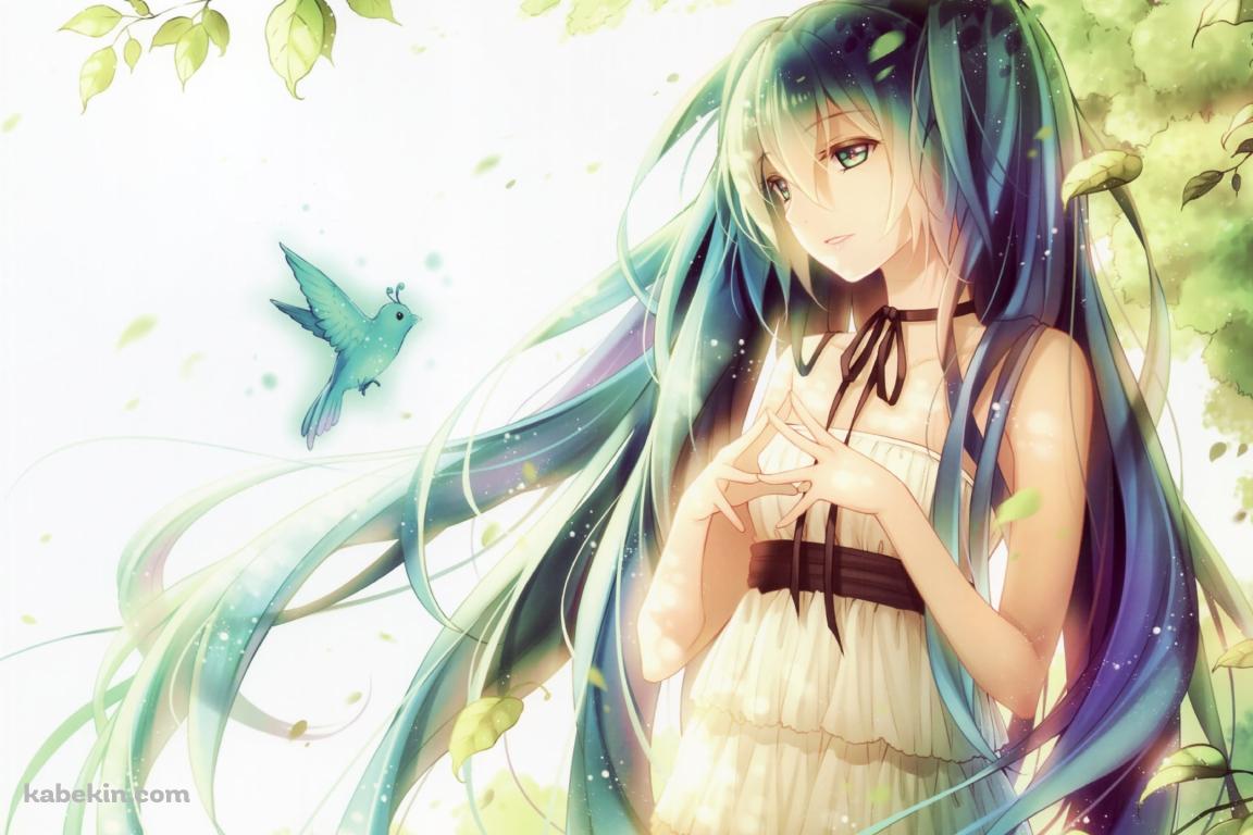 青い鳥を見つめる初音ミク / ボカロの壁紙(1152px x 768px) 高画質 PC・デスクトップ用