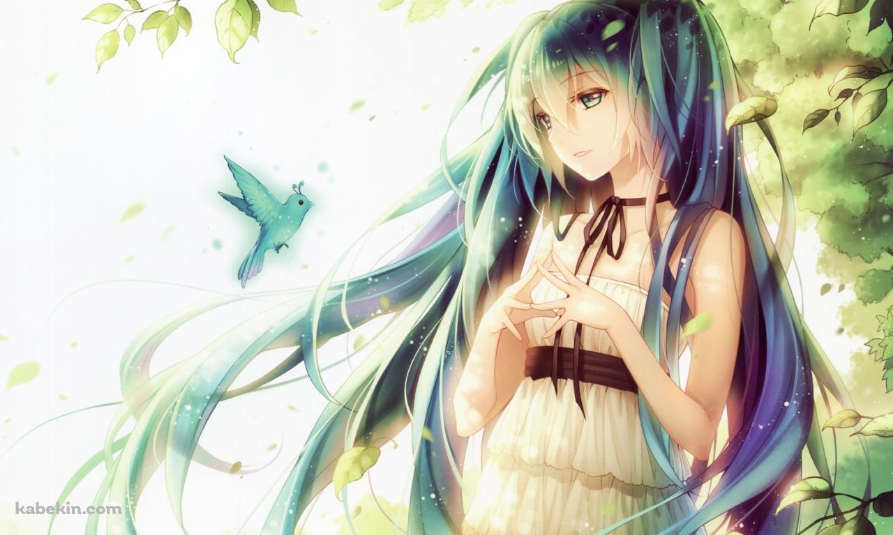 青い鳥を見つめる初音ミク / ボカロの壁紙(1280px x 768px) 高画質 PC・デスクトップ用