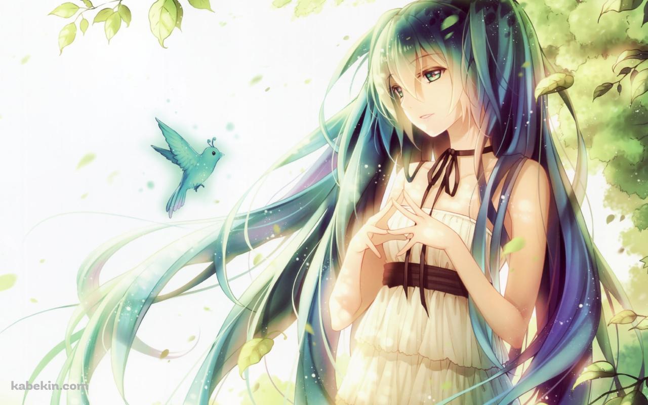 青い鳥を見つめる初音ミク / ボカロの壁紙(1280px x 800px) 高画質 PC・デスクトップ用