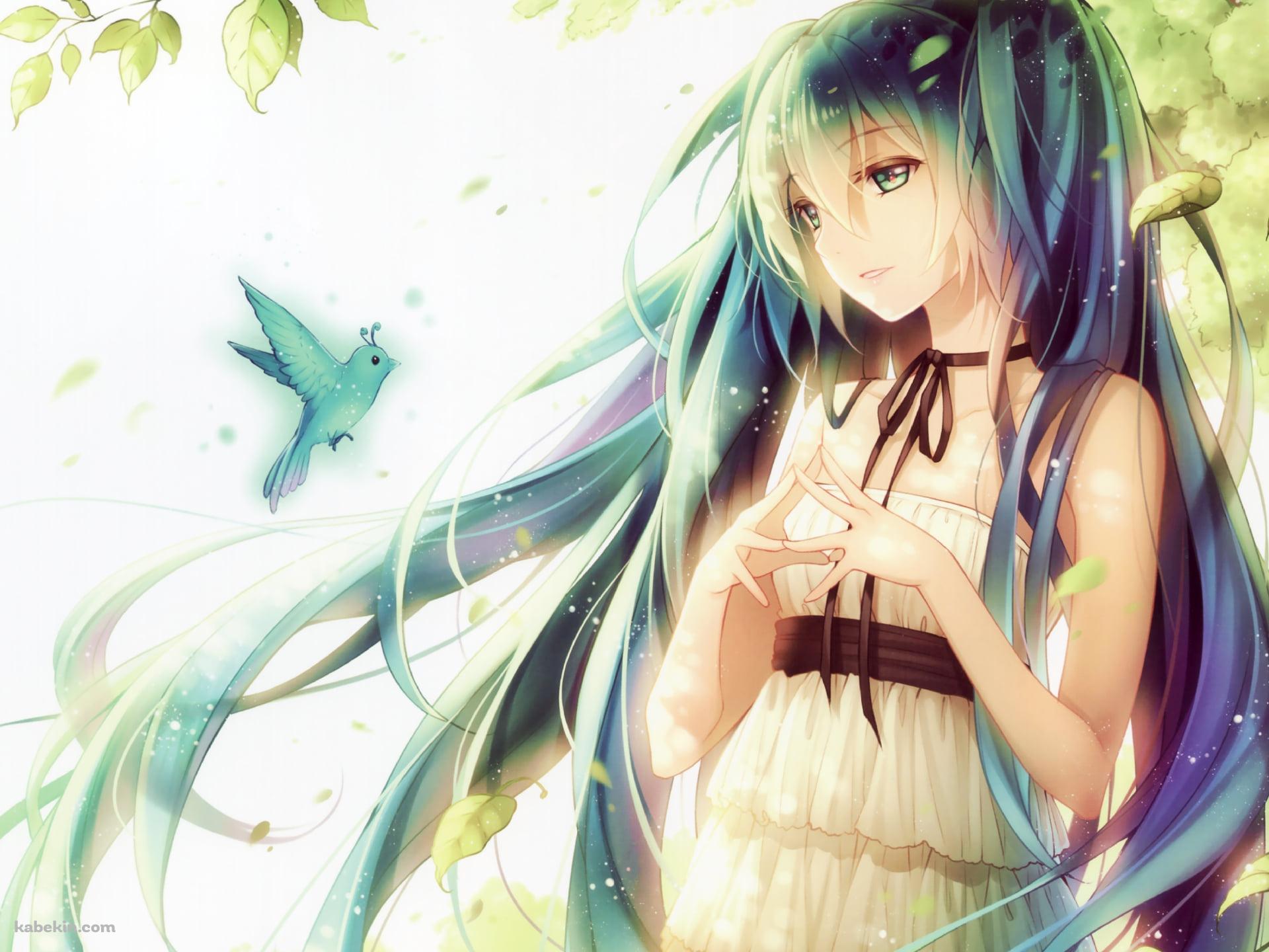 青い鳥を見つめる初音ミク / ボカロの壁紙(1920px x 1440px) 高画質 PC・デスクトップ用