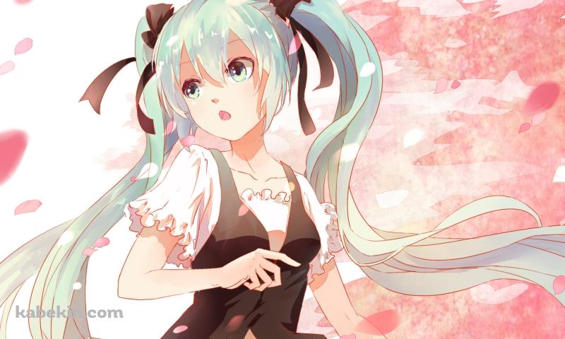 舞い散る桜とツインテールの初音ミク / 黒いリボン / ボカロの壁紙(800px x 480px) 高画質 PC・デスクトップ用
