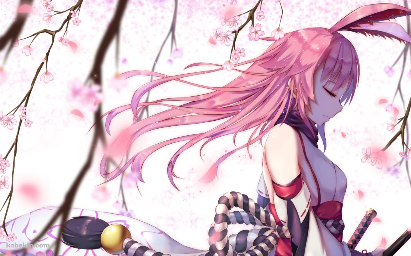 桜の花の下で目をつぶる八重桜 / 崩壊学園の壁紙(1440px x 900px) 高画質 PC・デスクトップ用
