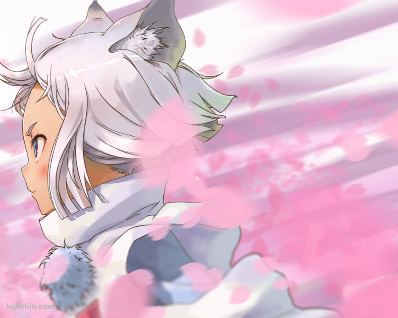 ピンクの花びらとコン / 東京レイヴンズの壁紙(1280px x 1024px) 高画質 PC・デスクトップ用