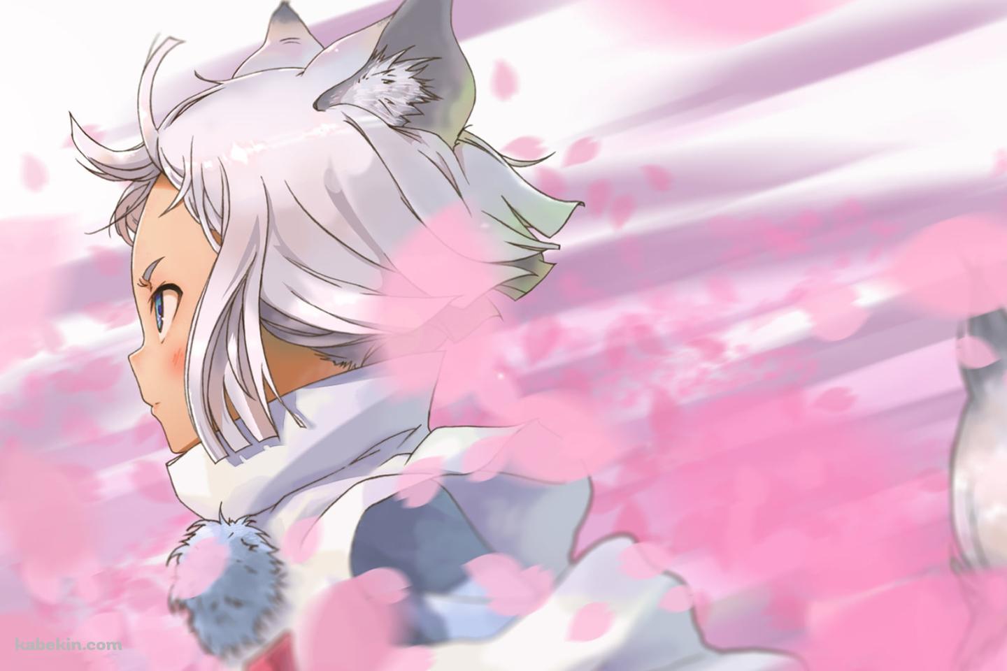 ピンクの花びらとコン / 東京レイヴンズの壁紙(1440px x 960px) 高画質 PC・デスクトップ用