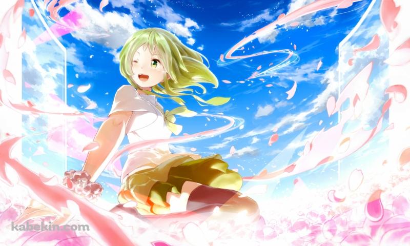 ピンクの花と青空と片目をつぶるGUMI / ボカロの壁紙(800px x 480px) 高画質 PC・デスクトップ用