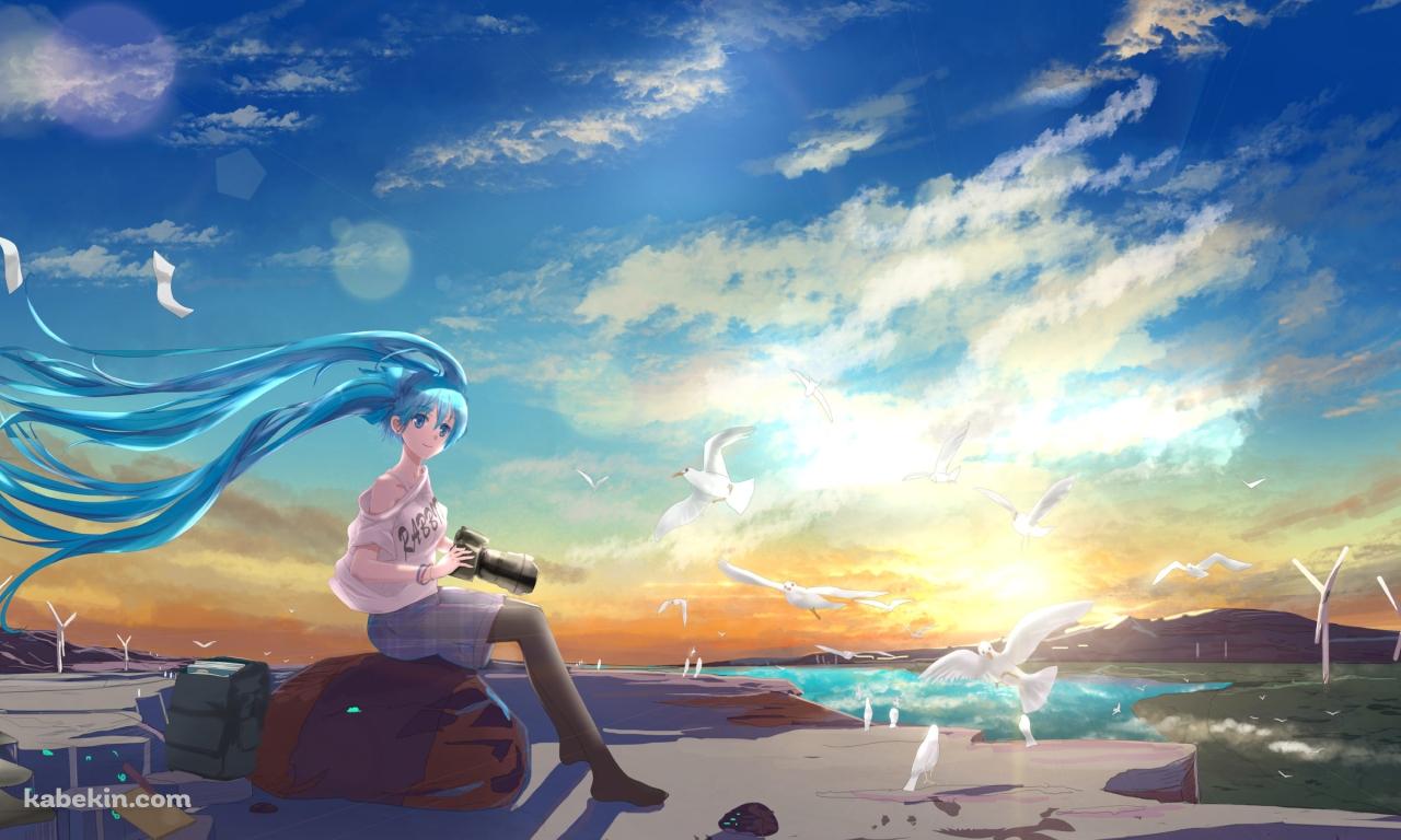 海の傍でカメラを持つ初音ミク / 白い鳥 / ボカロの壁紙(1280px x 768px) 高画質 PC・デスクトップ用