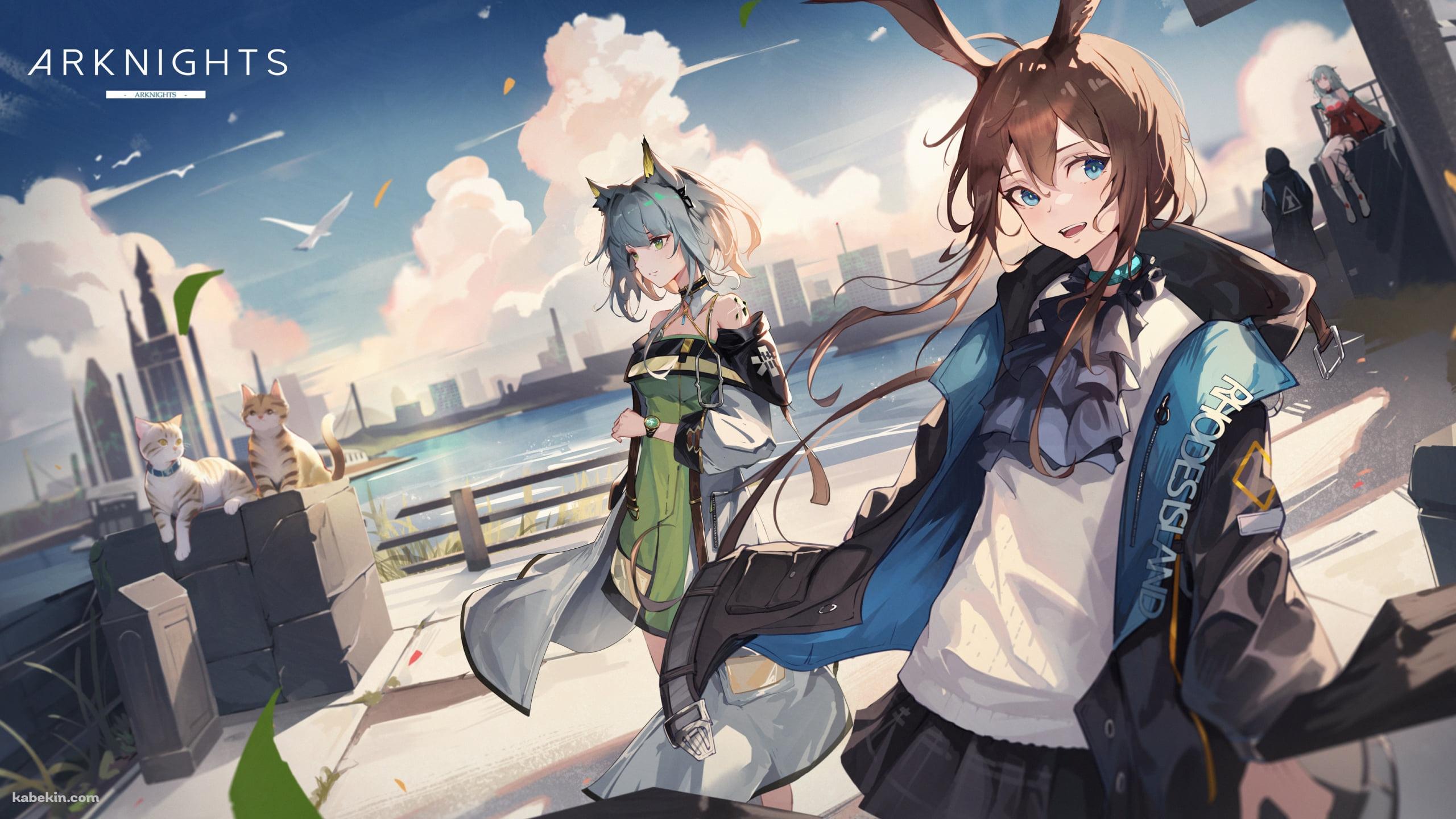 海の近くに佇むアーミヤ / スカジ / ケルシー / ドクター / アークナイツの壁紙(2560px x 1440px) 高画質 PC・デスクトップ用