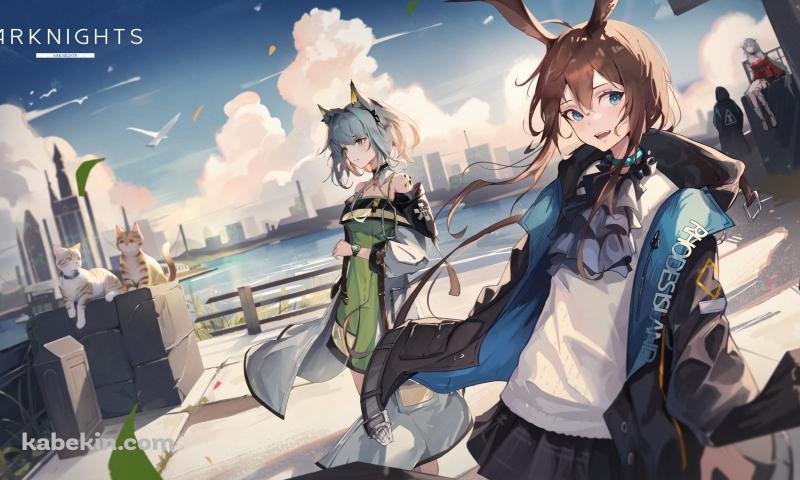 海の近くに佇むアーミヤ / スカジ / ケルシー / ドクター / アークナイツの壁紙(800px x 480px) 高画質 PC・デスクトップ用