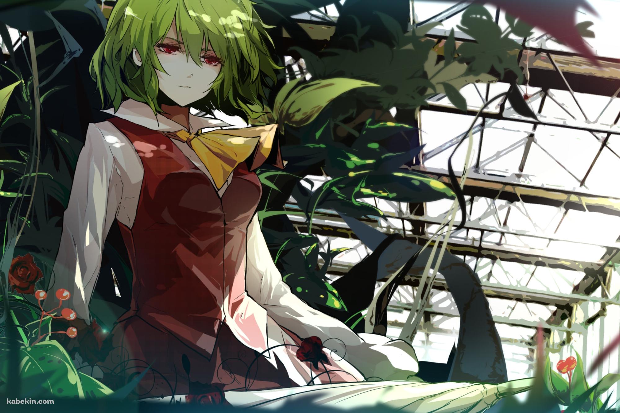 赤い薔薇・緑の草木と風見幽香 / 東方の壁紙(2000px x 1333px) 高画質 PC・デスクトップ用