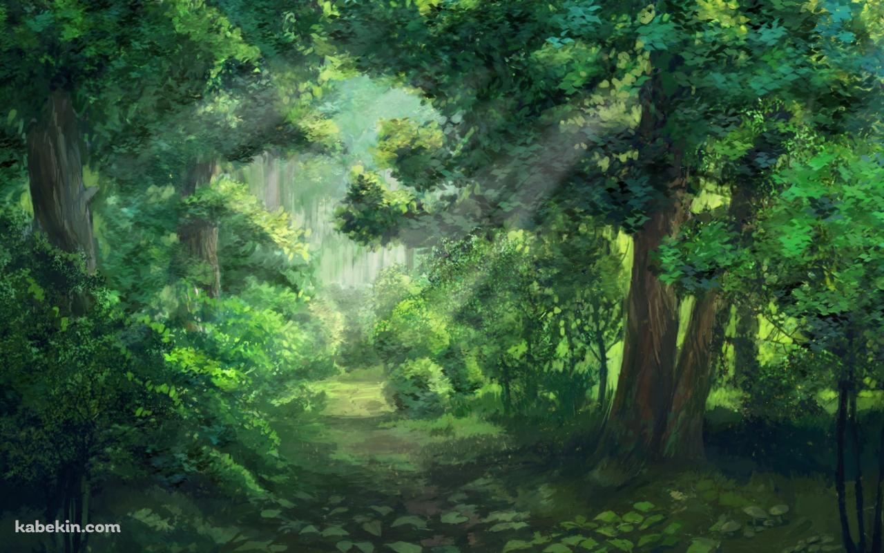木漏れ日が射す緑の森 / イラストの壁紙(1280px x 800px) 高画質 PC・デスクトップ用