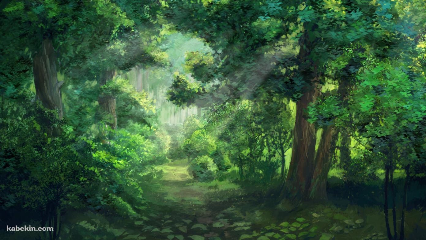 木漏れ日が射す緑の森 / イラストの壁紙(1391px x 783px) 高画質 PC・デスクトップ用