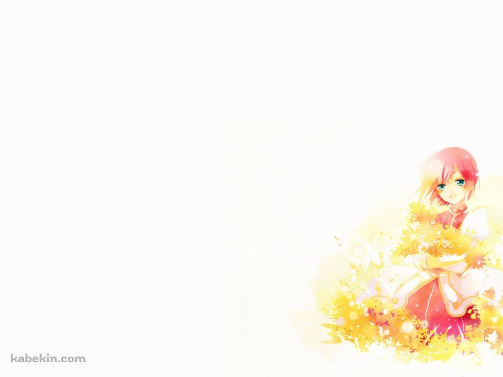 黄色い花とエステリーゼ・シデス・ヒュラッセイン / テイルズオブヴェスペリアの壁紙(1024px x 768px) 高画質 PC・デスクトップ用